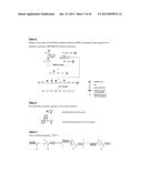 PEPTIDE C ALPHA-AMIDES, METHODS FOR PREPARING SAME AND USES THEREOF AS     PRECURSORS OF PEPTIDE C ALPHA- THIOESTERS FOR PROTEIN SYNTHESIS diagram and image