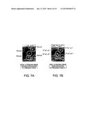 ULTRASONIC MEASURING DEVICE, ULTRASONIC IMAGE DEVICE, AND ULTRASONIC     MEASURING METHOD diagram and image