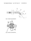 DEVICES, COMPOSITIONS AND METHODS FOR TREATING ACUTE AND CHRONIC TISSUE     DAMAGE diagram and image