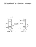 Seal Structures for Wet/Dry Automatic Injectors diagram and image