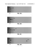 SYSTEMS, DEVICES, AND METHODS FOR TOPICAL DRUG DELIVERY TO THE EYE diagram and image