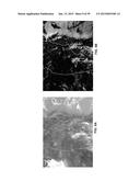 Validating And Calibrating A Forecast Model diagram and image