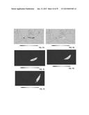 Validating And Calibrating A Forecast Model diagram and image