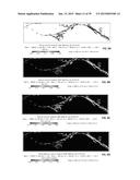 Validating And Calibrating A Forecast Model diagram and image