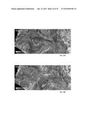 Validating And Calibrating A Forecast Model diagram and image