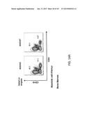 NON-HUMAN ANIMALS WITH MODIFIED IMMUNOGLOBULIN HEAVY CHAIN SEQUENCES diagram and image