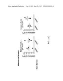 NON-HUMAN ANIMALS WITH MODIFIED IMMUNOGLOBULIN HEAVY CHAIN SEQUENCES diagram and image