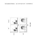 NON-HUMAN ANIMALS WITH MODIFIED IMMUNOGLOBULIN HEAVY CHAIN SEQUENCES diagram and image