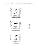 NON-HUMAN ANIMALS WITH MODIFIED IMMUNOGLOBULIN HEAVY CHAIN SEQUENCES diagram and image