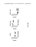 NON-HUMAN ANIMALS WITH MODIFIED IMMUNOGLOBULIN HEAVY CHAIN SEQUENCES diagram and image