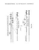 NON-HUMAN ANIMALS WITH MODIFIED IMMUNOGLOBULIN HEAVY CHAIN SEQUENCES diagram and image