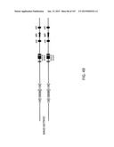 NON-HUMAN ANIMALS WITH MODIFIED IMMUNOGLOBULIN HEAVY CHAIN SEQUENCES diagram and image