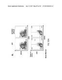 NON-HUMAN ANIMALS WITH MODIFIED IMMUNOGLOBULIN HEAVY CHAIN SEQUENCES diagram and image