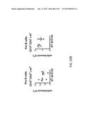 NON-HUMAN ANIMALS WITH MODIFIED IMMUNOGLOBULIN HEAVY CHAIN SEQUENCES diagram and image