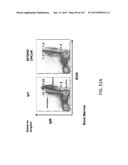 NON-HUMAN ANIMALS WITH MODIFIED IMMUNOGLOBULIN HEAVY CHAIN SEQUENCES diagram and image