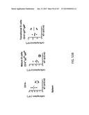 NON-HUMAN ANIMALS WITH MODIFIED IMMUNOGLOBULIN HEAVY CHAIN SEQUENCES diagram and image