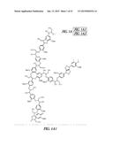 HIBISCUS CANNABINUS FERULOYL-COA:MONOLIGNOL TRANSFERASE diagram and image