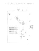 HIBISCUS CANNABINUS FERULOYL-COA:MONOLIGNOL TRANSFERASE diagram and image