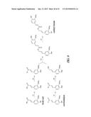 HIBISCUS CANNABINUS FERULOYL-COA:MONOLIGNOL TRANSFERASE diagram and image