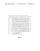 HIBISCUS CANNABINUS FERULOYL-COA:MONOLIGNOL TRANSFERASE diagram and image