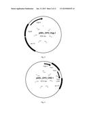 RASAMSONIA TRANSFORMANTS diagram and image