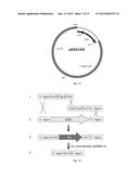 RASAMSONIA TRANSFORMANTS diagram and image