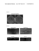 SEED-ORIGIN ENDOPHYTE POPULATIONS, COMPOSITIONS, AND METHODS OF USE diagram and image