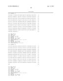 GENETIC MARKERS ASSOCIATED WITH DROUGHT TOLERANCE IN MAIZE diagram and image