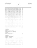 TORENIA-ORIGINATED PROMOTER CAPABLE OF ACTING IN PETALS diagram and image