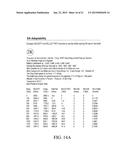 BALLISTIC EFFECT COMPENSATING RETICLE AND AIM COMPENSATION METHOD WITH     LEVELING REFERENCE AND SPIN-DRIFT COMPENSATED WIND DOTS diagram and image