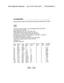 BALLISTIC EFFECT COMPENSATING RETICLE AND AIM COMPENSATION METHOD WITH     LEVELING REFERENCE AND SPIN-DRIFT COMPENSATED WIND DOTS diagram and image