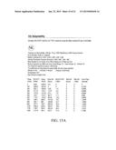 BALLISTIC EFFECT COMPENSATING RETICLE AND AIM COMPENSATION METHOD WITH     LEVELING REFERENCE AND SPIN-DRIFT COMPENSATED WIND DOTS diagram and image