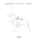 RESTRAINING DEVICE diagram and image