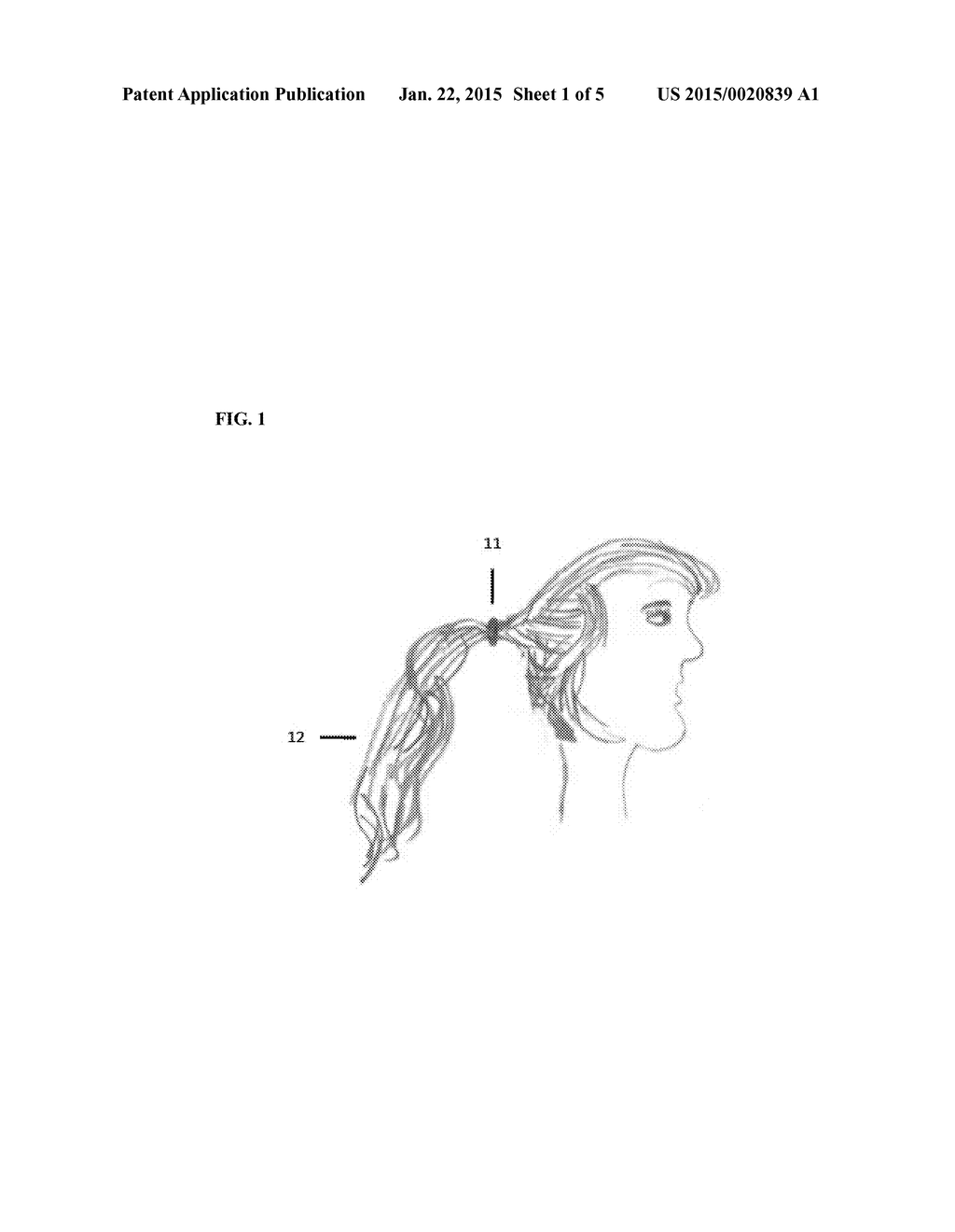 COMPOSITIONS AND METHODS FOR MAKING HAIR BUNS - diagram, schematic, and image 02