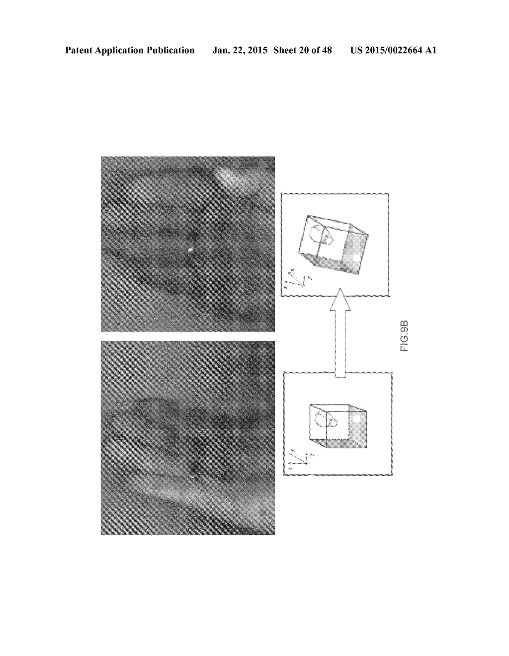 VEHICLE VISION SYSTEM WITH POSITIONABLE VIRTUAL VIEWPOINT - diagram, schematic, and image 21