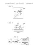 GESTURE RECOGNITION METHOD AND APPARATUS BASED ON ANALYSIS OF MULTIPLE     CANDIDATE BOUNDARIES diagram and image