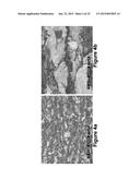 MARTENSITIC STEELS WITH 1700 TO 2200 MPA TENSILE STRENGTH diagram and image