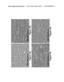 MARTENSITIC STEELS WITH 1700 TO 2200 MPA TENSILE STRENGTH diagram and image