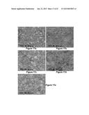 MARTENSITIC STEELS WITH 1700 TO 2200 MPA TENSILE STRENGTH diagram and image