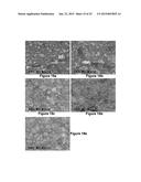 MARTENSITIC STEELS WITH 1700 TO 2200 MPA TENSILE STRENGTH diagram and image