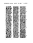 MARTENSITIC STEELS WITH 1700 TO 2200 MPA TENSILE STRENGTH diagram and image