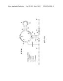 FLUORIDE-RESPONSIVE RIBOSWITCHS, FLUORIDE TRANSPORTERS, AND METHODS OF USE diagram and image