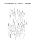 FLUORIDE-RESPONSIVE RIBOSWITCHS, FLUORIDE TRANSPORTERS, AND METHODS OF USE diagram and image