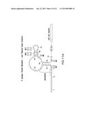 FLUORIDE-RESPONSIVE RIBOSWITCHS, FLUORIDE TRANSPORTERS, AND METHODS OF USE diagram and image