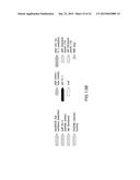 FLUORIDE-RESPONSIVE RIBOSWITCHS, FLUORIDE TRANSPORTERS, AND METHODS OF USE diagram and image