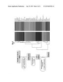 NOVEL COMPOSITIONS AND METHODS FOR PREVENTING OR TREATING CANCER     METASTASIS diagram and image