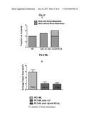 NOVEL COMPOSITIONS AND METHODS FOR PREVENTING OR TREATING CANCER     METASTASIS diagram and image