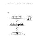 REF Nuclease for Site-Specific REF-Mediated DNA Cleavage diagram and image