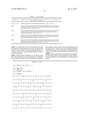 REF Nuclease for Site-Specific REF-Mediated DNA Cleavage diagram and image