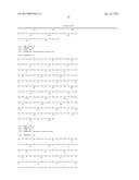 REF Nuclease for Site-Specific REF-Mediated DNA Cleavage diagram and image